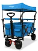 FUXLIFE by FUXTEC Plážový vozík FX-CTB800 tyrkysový  Náhled obrázku produktu 2