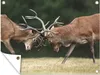 MuchoWow® Produktbild-Vorschau 1