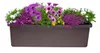Plastia Pflanzkübel Berberis TRIO bra, A33616 Produktbild-Vorschau 4