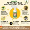 Holzwurm Abwehrspray Power-Konzentrat 500 ml – Natürliches Produktbild-Vorschau 6