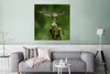 MuchoWow® Poster Vogel füttert seine Jungen 75x75 cm - Wand Produktbild-Vorschau 5