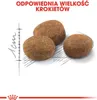 Three kibbles of dog food are shown next to a ruler graphic indicating size. Náhled obrázku produktu