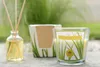 ARÔME Citronella Náhled obrázku produktu 2