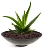 Bacs à plantes pour l'extérieur bacs décoratifs ronds set Voir les images du produit 2