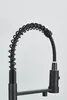 Keukenmengkraan Ari Solid Spring, met aansluiting voor Productafbeelding-voorbeeld 7