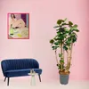 Trendyplants - Polyscias Fabian - Arálie - pokojová Náhled obrázku produktu 2
