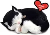 Perfect Petzzz Plyšová mačka britská krátkosrstá 92554 Náhľad obrázku produktu 4