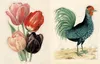 John Derian Sticker Book II Produktbild-Vorschau 7