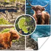 MuchoWow® Poster Schottische Highlander - Tiere - Natur Produktbild-Vorschau 1