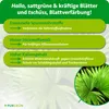 Purgrün Palmendünger 1 Liter, Produktbild-Vorschau 3