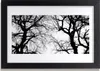 Bild 30x20 MDF-Rahmen Wandkunst Bäume Natur Schwarzweiss Produktbild-Vorschau 1