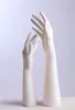 D3/4 Mani decorative femminili bianche. Mani bianche Anteprima dell’immagine prodotto 3