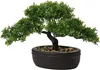 Kunstbonsai, Podocarpus, zeder, kiefer, zwarte keramische Productafbeelding-voorbeeld 1
