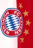 FC BAYERN MÜNCHEN FC Bayern München Hissfahne 5 Stern rot Produktbild-Vorschau 4