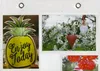 Držiak na fotografie Fotozáves Náhľad obrázku produktu 2