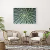 Poster - Poster ohne Rahmen - Agave Grün Pflanze - 100x70 Produktbild-Vorschau 5