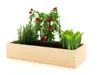 A wooden raised garden bed filled with plants, including tomatoes, herbs, and lettuce, against a white background. Produktbild-Vorschau