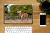 MuchoWow® Laptop Aufkleber Sticker Cover Tiere - Hirsche - Produktbild-Vorschau 2
