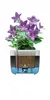 Emsa myBOX Blumenkasten Blumenkübel 35 cm anhrazit/alu Produktbild-Vorschau 3