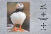 MuchoWow® Mauspad Mousepad Papageientaucher 30x40 cm - Produktbild-Vorschau 2