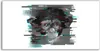 Coloray Canvas 140x70  Wandbild Leinwand Bilder Foto  Affe Produktbild-Vorschau 1