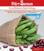 Dürr-Samen - Buschbohnen Red Kidney - Saatgut - 0334 Produktbild-Vorschau 8