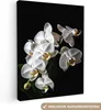 MuchoWow® - Leinwandbilder - Orchidee - Blumen - Weiß - Produktbild-Vorschau 1
