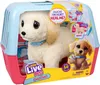 Moose Little Live Pets Ouchies Cooper The Retriever Produktbild-Vorschau 1