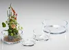 A collection of clear glass bowls with a floral arrangement in one. Voir les images du produit
