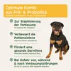 AniForte plus Probiotikum Tabs für Hunde 90 Stk - Produktbild-Vorschau 3