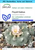 SAFLAX Geschenk Set - Peyotl Kaktus - Lophophora williamsii Produktbild-Vorschau 1