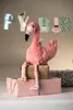 Steiff Jill Fenicottero 30 rosa 063992 Anteprima dell’immagine prodotto 5