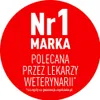 Royal Canin Feline Kitten - 10 kg Podgląd zdjęcia produktu 3