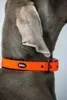 Nobby Cover golier D: 35-45 cm, Š: 20 mm neónovo oranžová Náhľad obrázku produktu 3