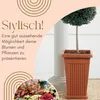 2er Set Pflanzkübel Pyramide Pflanzkübel Groß Außen Produktbild-Vorschau 3