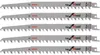 Lot de 5 lames de scie sabre S 1542 K BOSCH 2608650682 pour Voir les images du produit 1