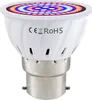 5W B22 60LED Pflanzenlampe Pflanzenlicht Zimmerpflanzen Produktbild-Vorschau 1