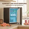 HOMCOM Mini chladnička 44 l – malá chladnička s Náhľad obrázku produktu 4