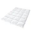 Feder/Daunen Kassettenbett mit Zirbeholz Anteil warm Produktbild-Vorschau 3