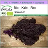 SAFLAX - Bio - Kale - Red Krauser - 50 Nasiona - Brassica Podgląd zdjęcia produktu 10