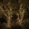 Twinkly Strings Gold Edition lights wrapped around trees at night. Náhled obrázku produktu