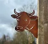 Kuh Kopf, 30x30 cm, edelroest, voor bevestiging, grondpen, Productafbeelding-voorbeeld 1