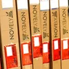 Several cardboard boxes are stacked side-by-side, with the brand name 'NOVELY' and a logo visible on each. Produktbild-Vorschau