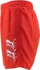 Short Puma 701226821-002 pour Homme Voir les images du produit 3