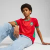 Puma FRMF Home Jersey Replica Jr - rot, Größe:152 Produktbild-Vorschau 3