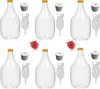 6X 5L Weinflasche Weinballon aus Kunstoff + Gummistopfen Produktbild-Vorschau 1