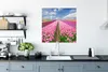 MuchoWow® Poster Tulpen - Sonne - Frühling 75x75 cm - Wand Produktbild-Vorschau 3