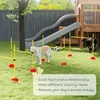 Set PawHut per agility: set da 4 pezzi per l'addestramento Anteprima dell’immagine prodotto 8