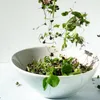 Microgreens being poured into a white bowl. Voir les images du produit