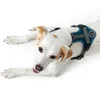 Hunter Maldon, Hund, Halftergeschirr, XS, Grau, Türkis, Produktbild-Vorschau 10